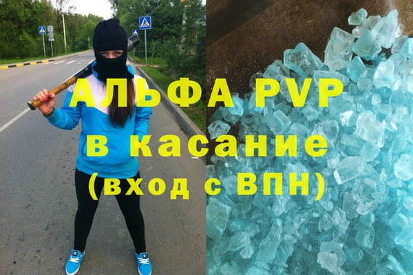 гашиш Богданович